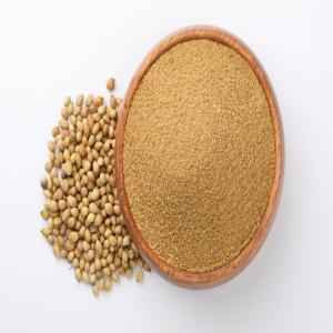 CNS Coriander Powder