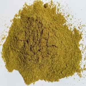 CNS Fennel Powder