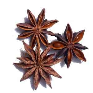 ISS Star Anise