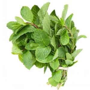 Mint Bunch