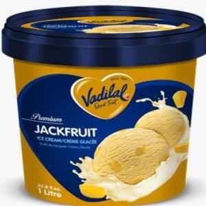 Vadilal Jackfruit