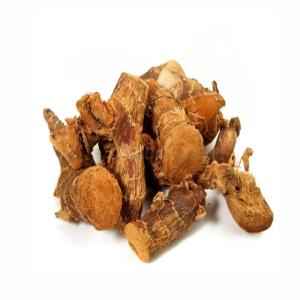 Dried Galanga