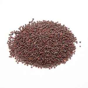 Mustard Seed