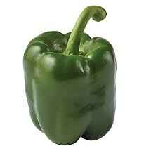 BELL PEPPER GREEN