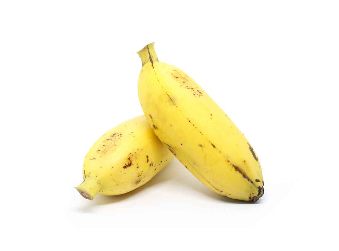 BURRO BANANA