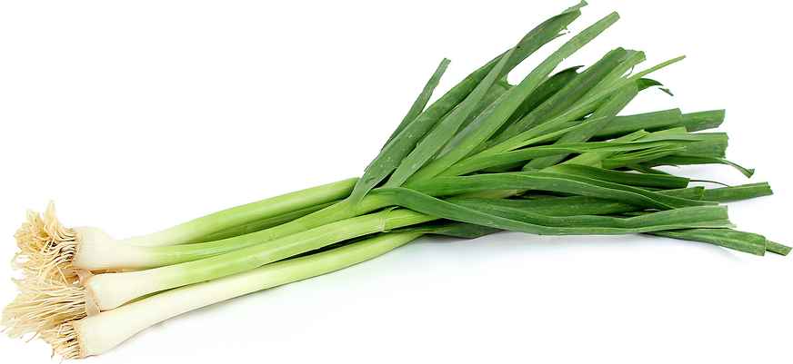 GREEN GARLIC