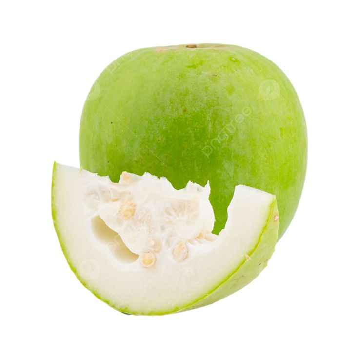 WINTER MELON