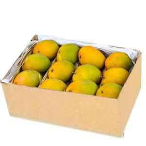 Mango Case