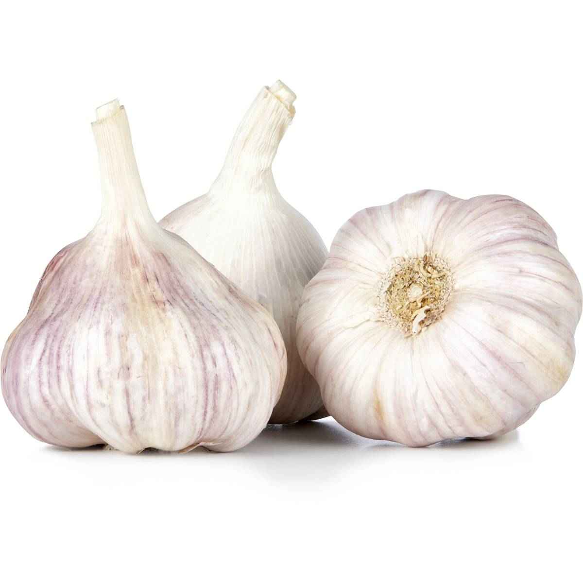 Fresh Garlic .