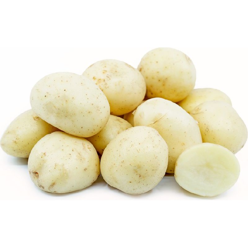 WHITE POTATO 5 LBS