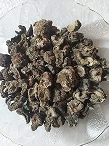 HANS SUNFLOWER SEED