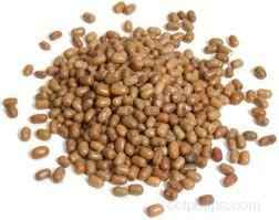 Moth Dal