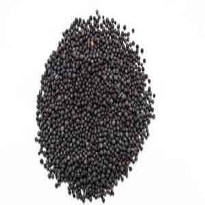 Mustard Seeds