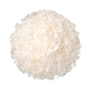 HANS COCONUT