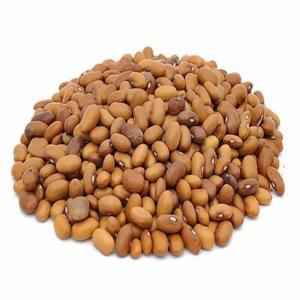SU ORGANIC MOTH
