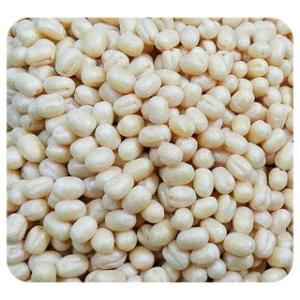 VT URAD GOTA