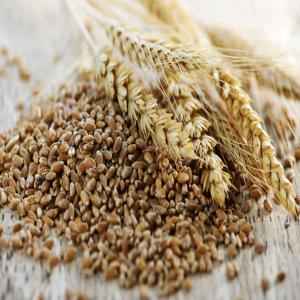 Whole Wheat