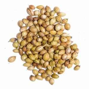 HB Coriander Seeds