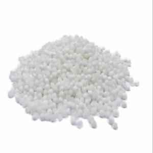 SW Sabudana
