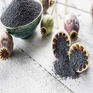 VT Poppy Seeds