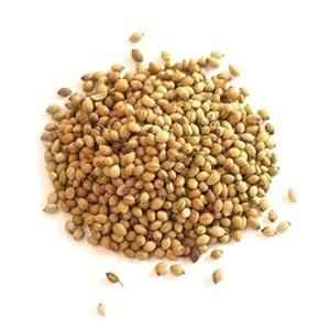 VT Corrinader Seed