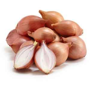 Onion Shallots