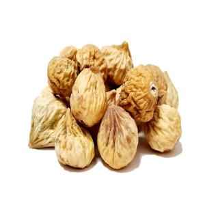 ALREEF FIG