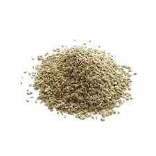 HANS AJWIN SEEDS