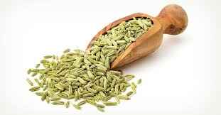 FENNEL SEEDS