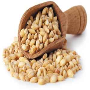 TIRUMA BARLEY WHL