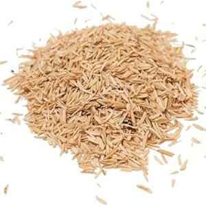 DHAN RICE PATTY
