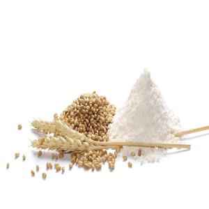 VT BARLEY FLOUR
