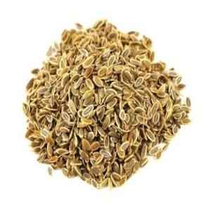 VT Dill Seeds