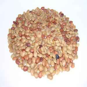 VT HORSE GRAM