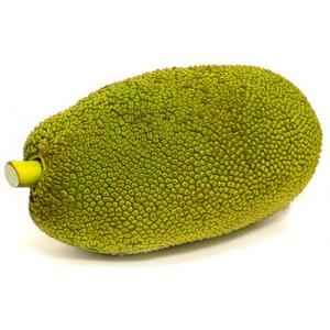BUDDHA GRN JACKFRUIT
