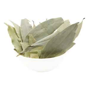 DWARKA BAY LEAF