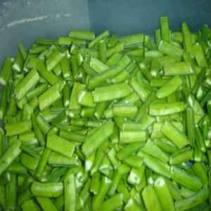 SAPNA VEGETABLE FROZEN