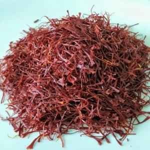 GATHERING SAFFRON