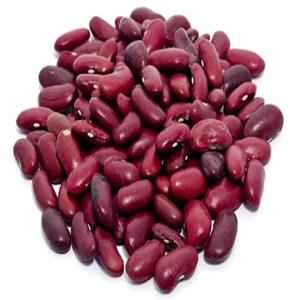HANS RAJMA JAMMU