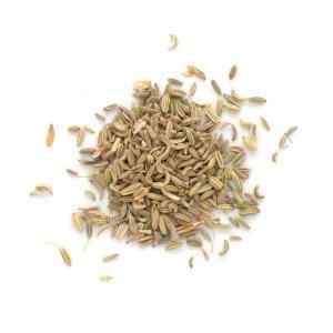 SANTOS FENNEL LUCKNOWI
