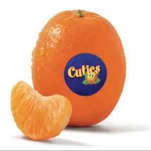 CUTIES TANGERIN