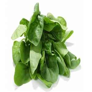 SPINICH BAG