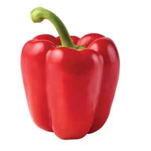 BELL RED