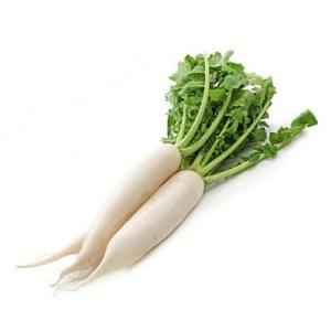DAIKON