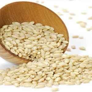 DHANRAJ HALEEM WHEAT