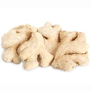 RAMDEV GINGER WHL