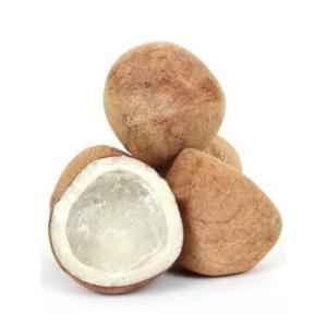 TIRUMALA COCO WHL