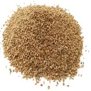 DHAN AJMAN SEEDS