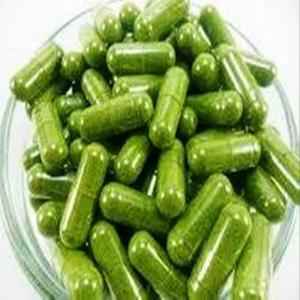 SANDHUS NEEM