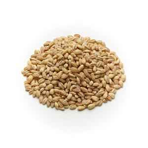 BARLEY PEARLED